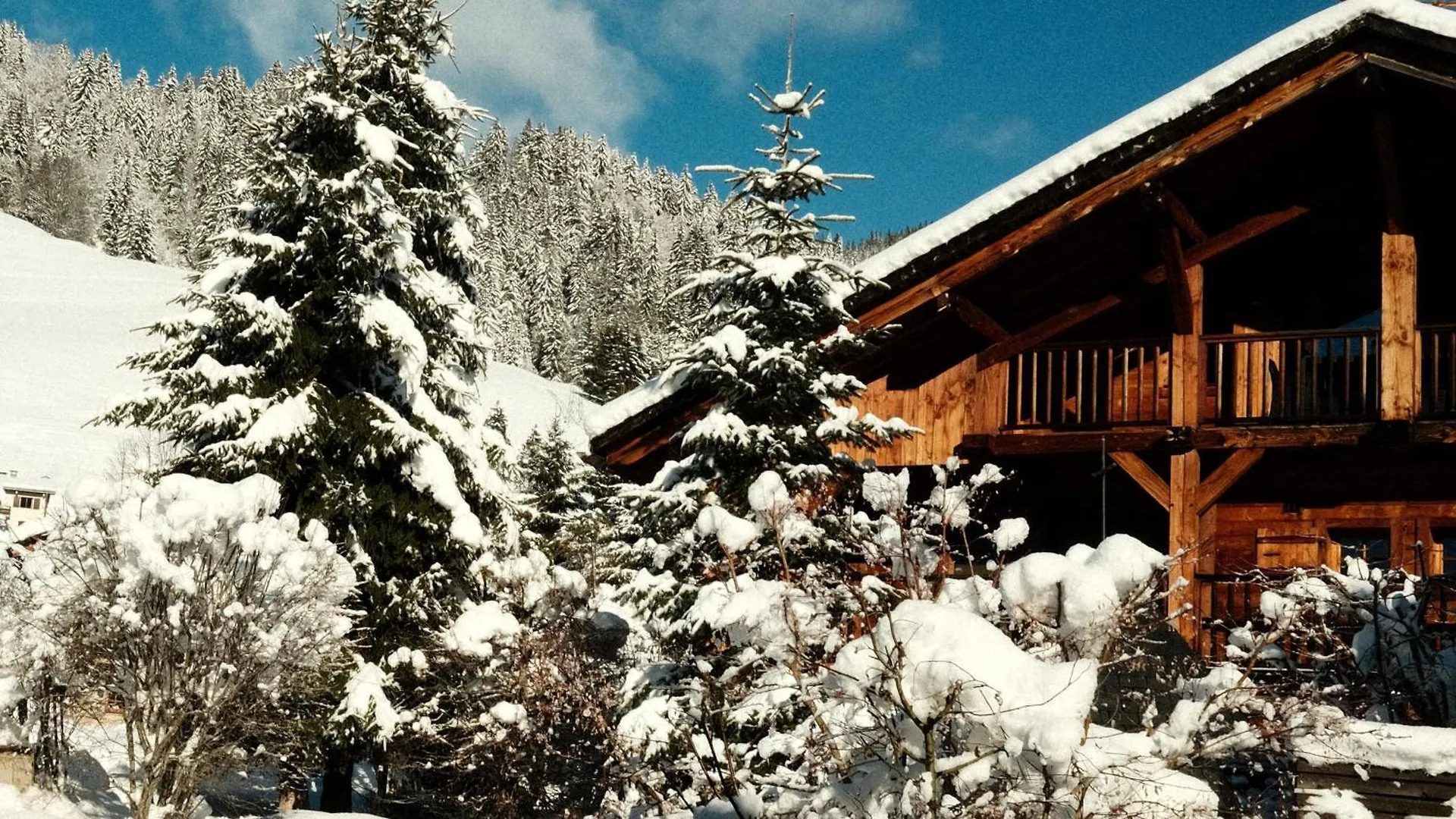 L'Alpaga, A Beaumier Hotel Megève 5*,  Fransa